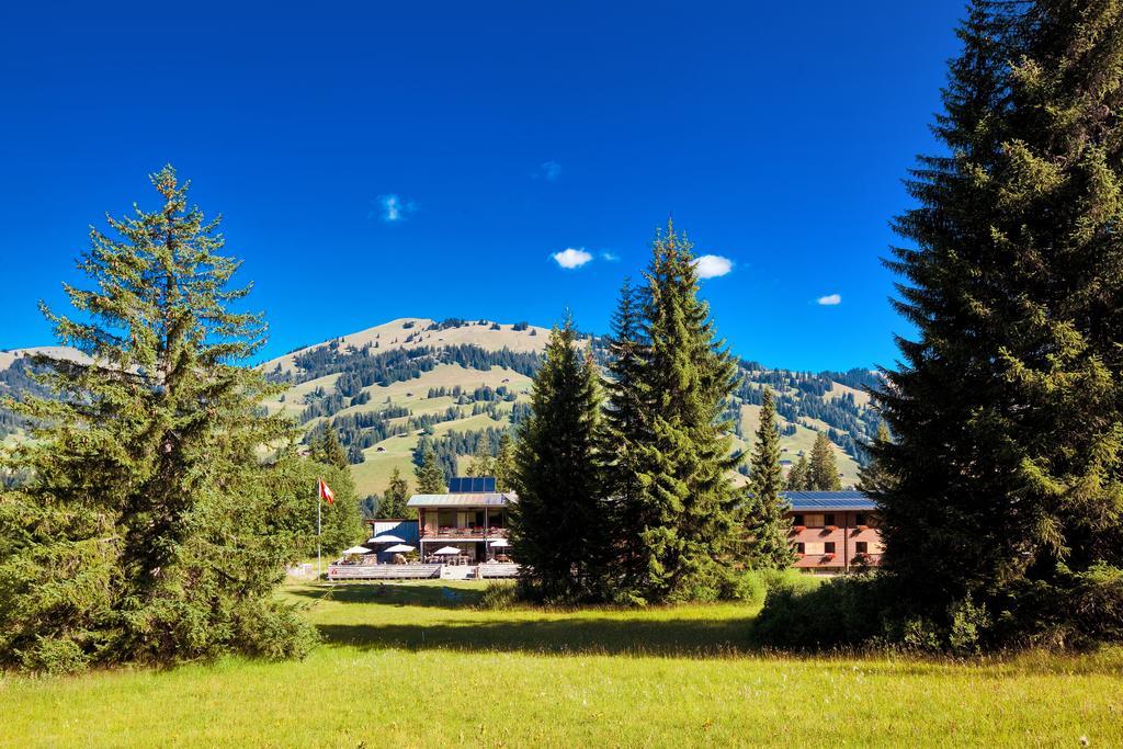 Saanewald Lodge Saanenmöser Exterior foto